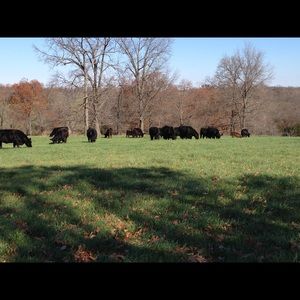 Meet your Posher, Steve